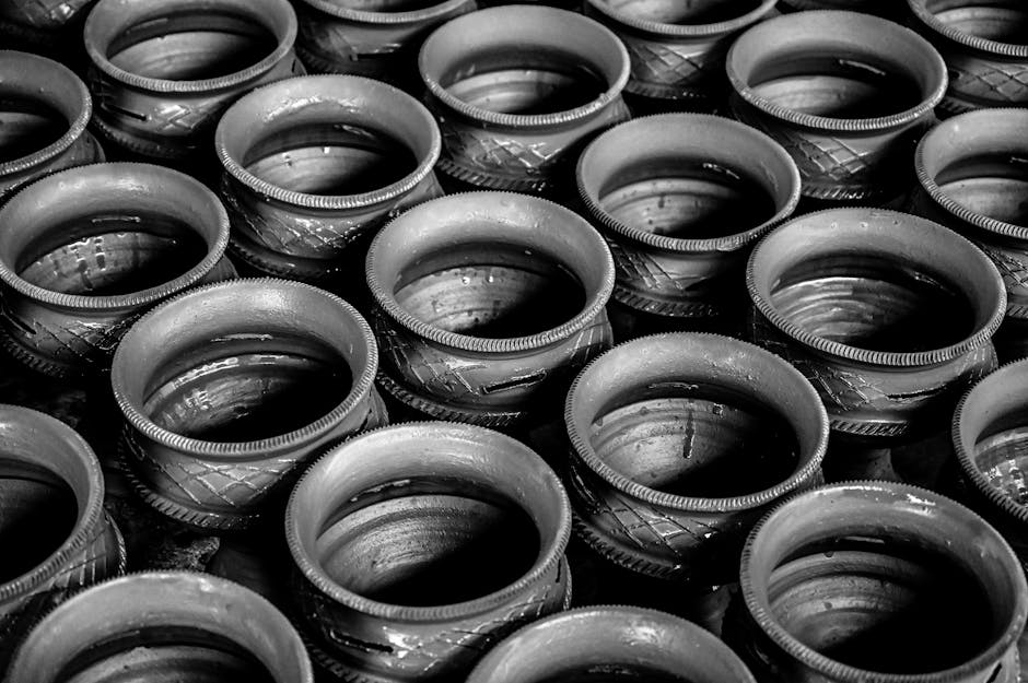 Mapa de red de transporte con puntos de parada resaltados